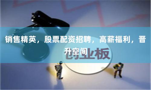 销售精英，股票配资招聘，高薪福利，晋升空间