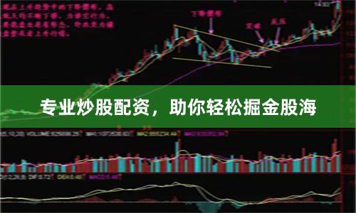 专业炒股配资，助你轻松掘金股海