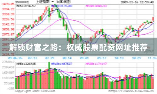 解锁财富之路:权威股票配资网址推荐