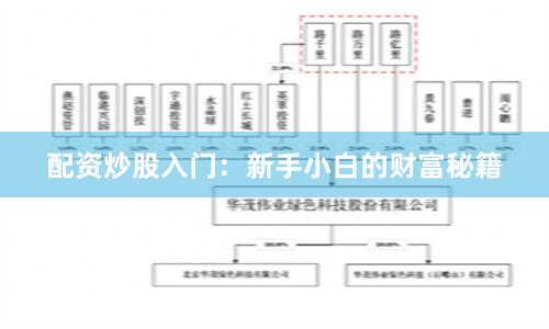 配资炒股入门:新手小白的财富秘籍