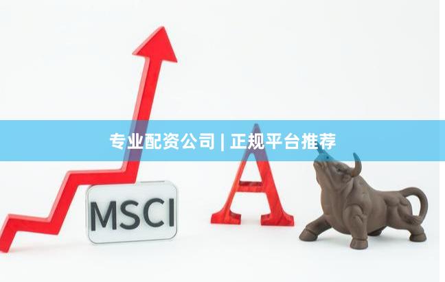 专业配资公司 | 正规平台推荐