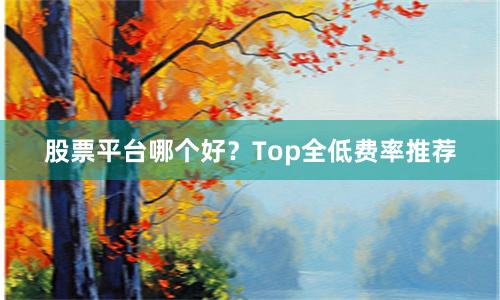 股票平台哪个好？Top全低费率推荐