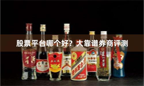 股票平台哪个好？大靠谱券商评测