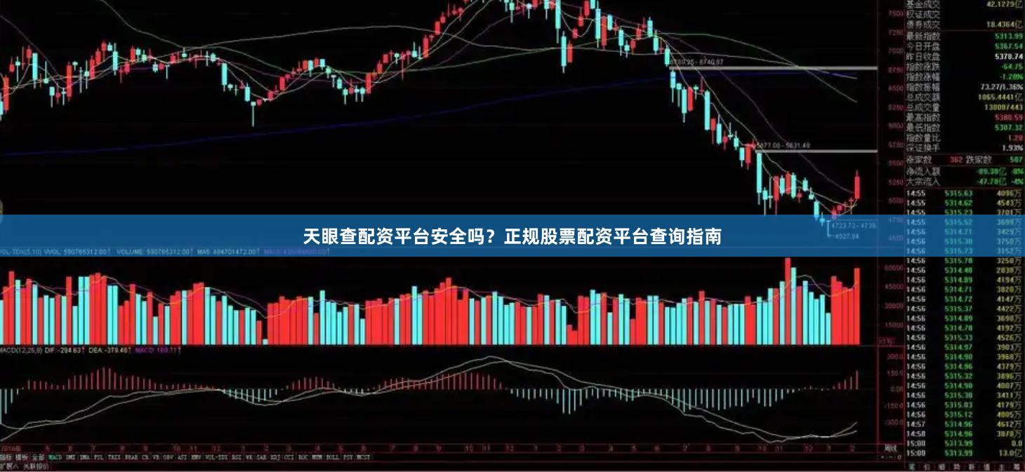 天眼查配资平台安全吗？正规股票配资平台查询指南