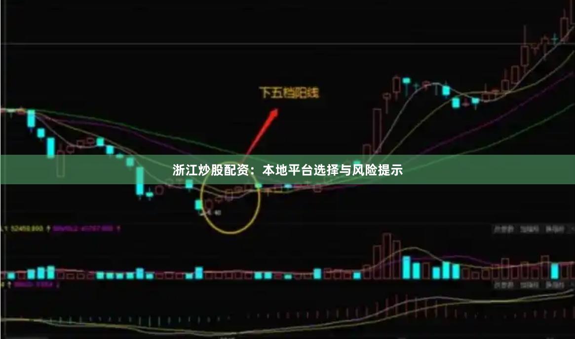 浙江炒股配资：本地平台选择与风险提示